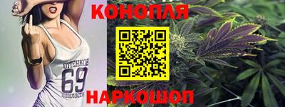 гидра Гатчина