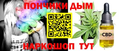 гидра Гатчина
